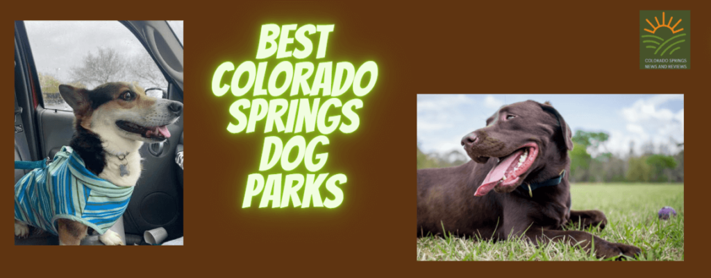 best-colorado-springs-dog-parks
