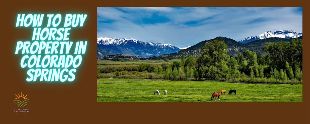 colorado-springs-horse-property-for-sale-how-to-buy